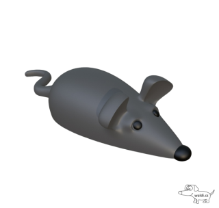 myš