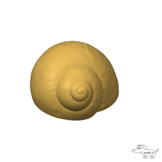 šnek nanomagnet